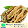 Changbai ganoderma lucidum/reishi/lingzhi slices